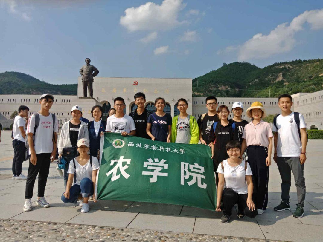 三小只僵尸的游戏时间5